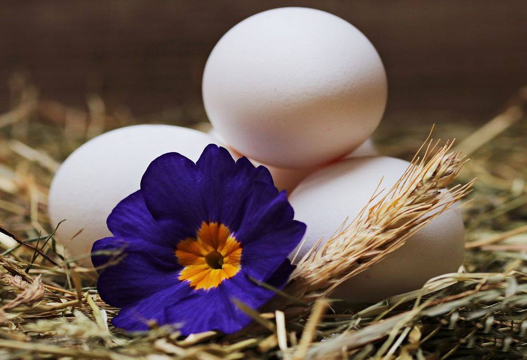 Egg for Skin: Benefits and Easy Skin Recipes